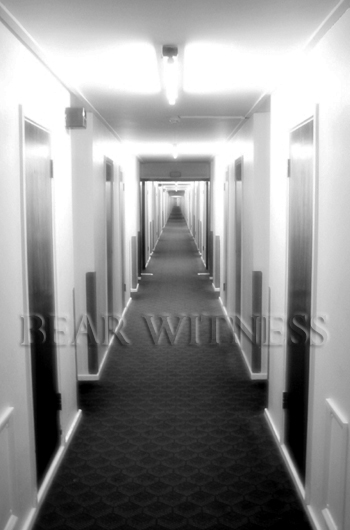 Cheating Cheater Orange County CA Los Angeles Bear Witness Detective Agency