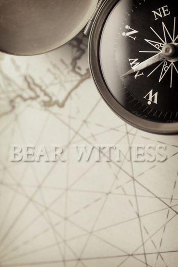 Bear Witness California Private Investigation & Surveillance Firm