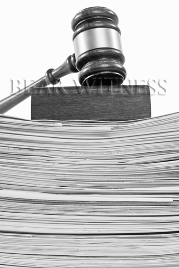 Orange County Process Server Los Angeles CA Bear Witness